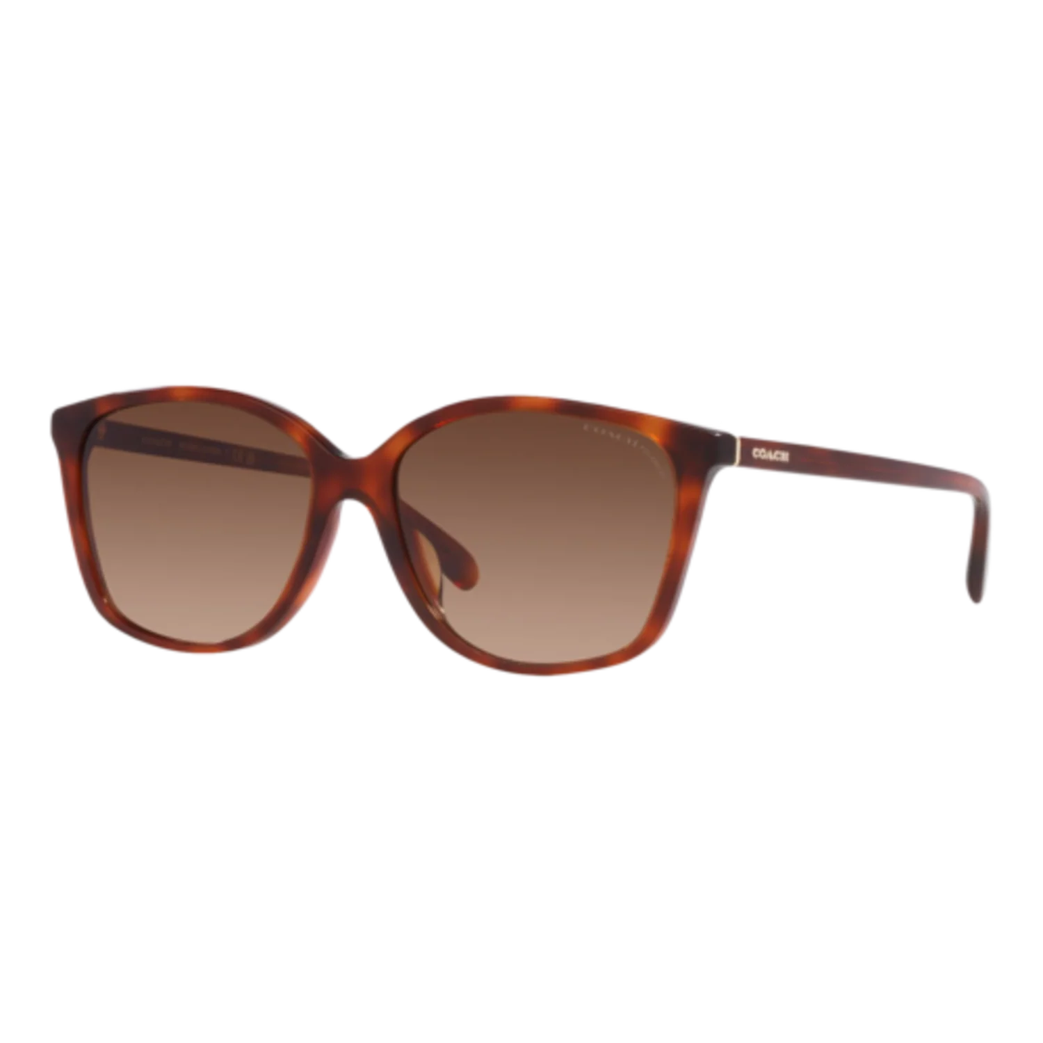 COACH WOMEN'S POLARIZED CH558 SUNGLASSES - Image 2