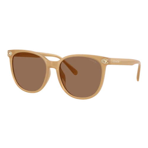 COACH WOMEN'S EMBEDDED SIGNATURE ROUND SUNGLASSES