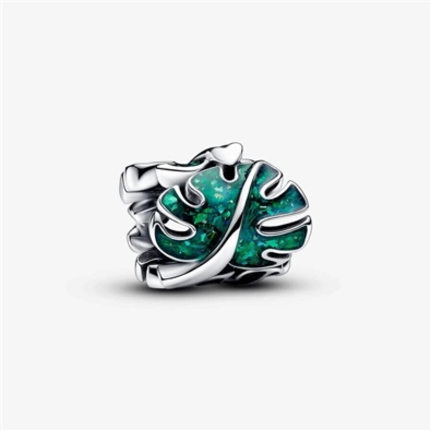MONSTERA CHARM