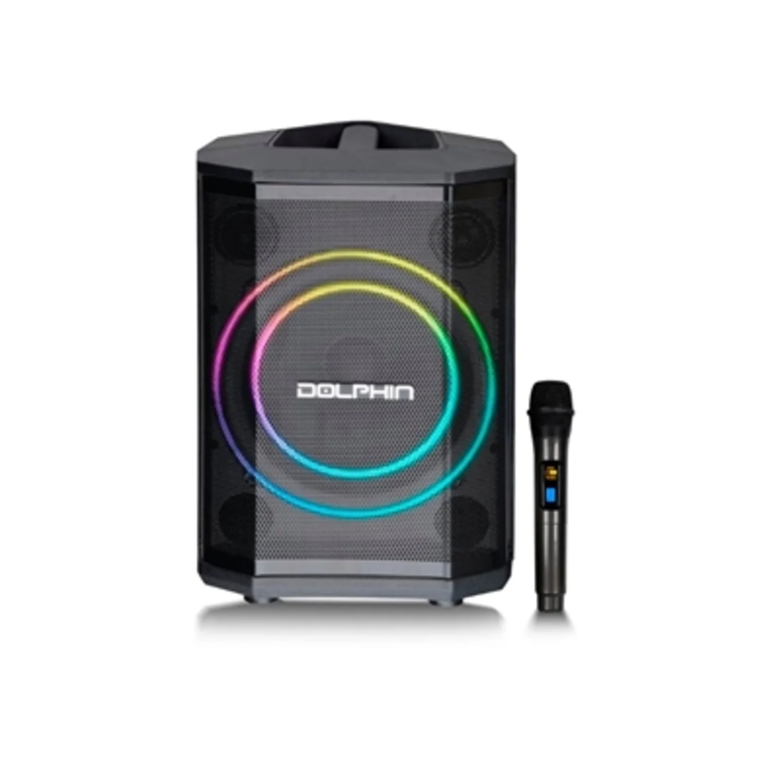 PORTABLE HIGH POWER SPEAKER, 8"