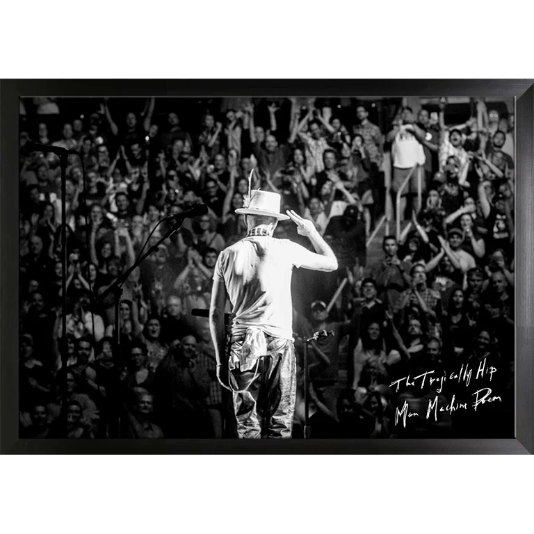 FRAMEWORTH THE TRAGICALLY HIP FRAMED 20 X 29 INCH CANVAS GORD DOWNIE SALUTE