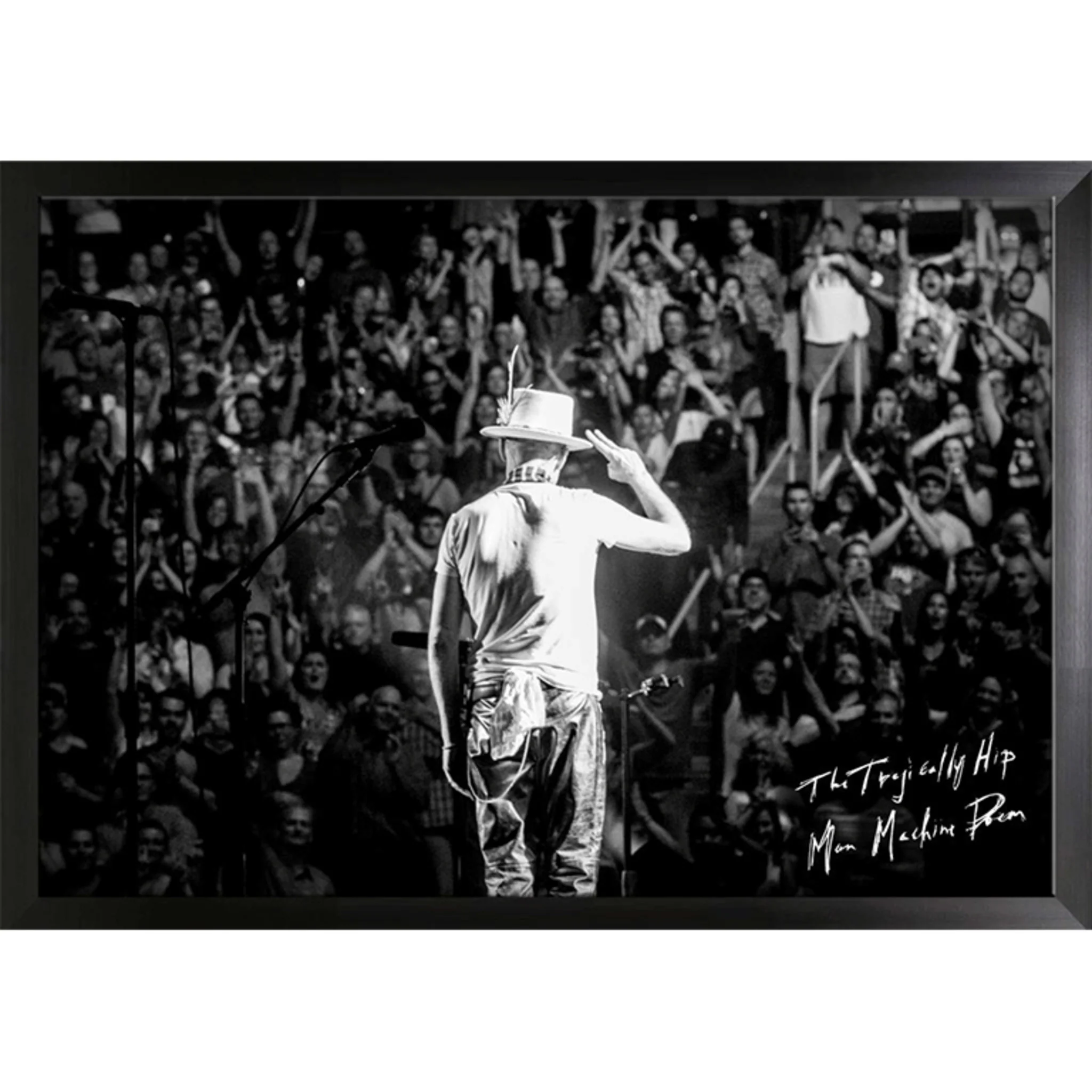 FRAMEWORTH THE TRAGICALLY HIP FRAMED 20 X 29 INCH CANVAS GORD DOWNIE SALUTE - Image 2